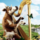Illustration for article titled Captain Bovines Harp Bazaar